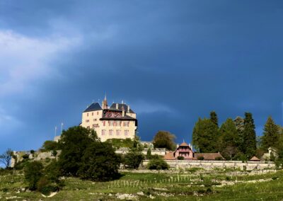 Galerie Photos