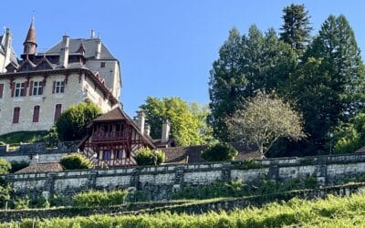 Fêtes des vendanges 2026